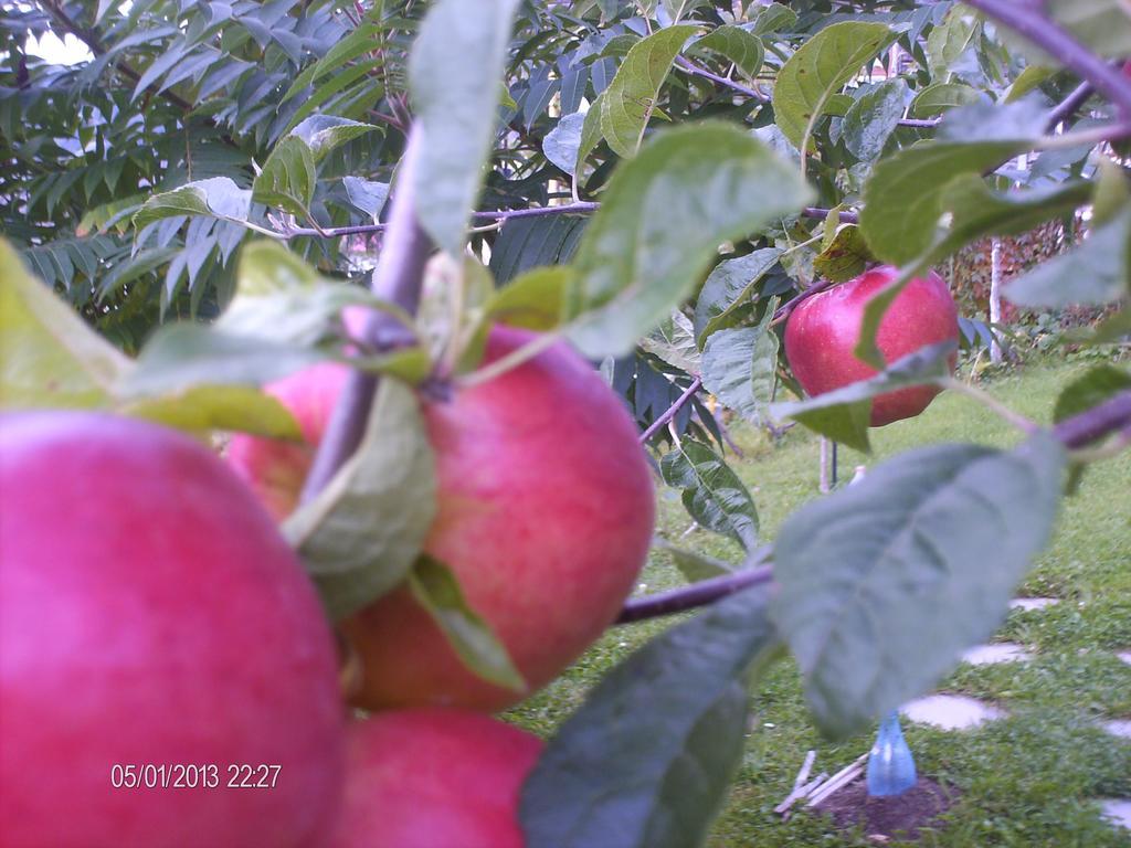 Pension Cote D'Amour Moieciu de Jos Esterno foto