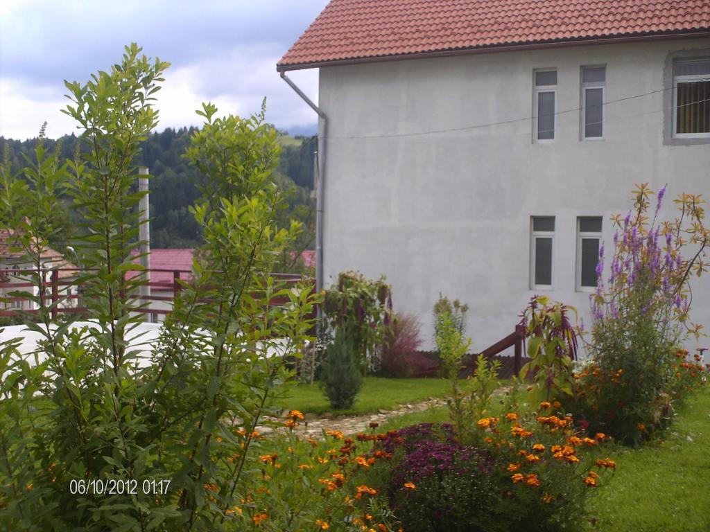 Pension Cote D'Amour Moieciu de Jos Esterno foto