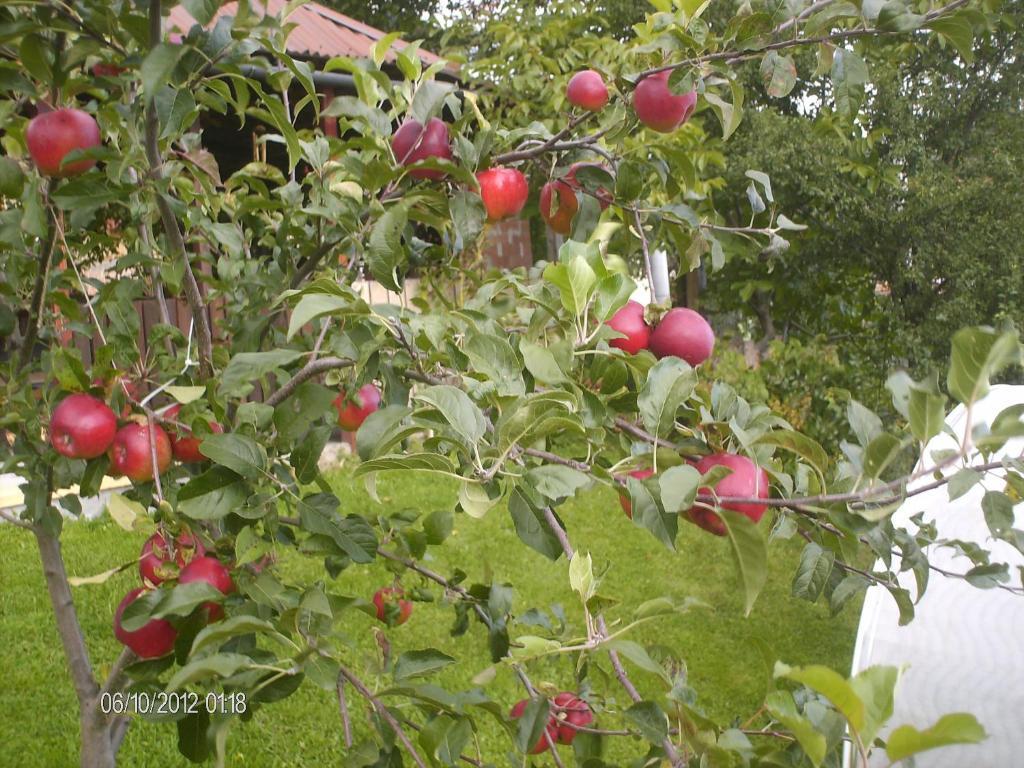 Pension Cote D'Amour Moieciu de Jos Esterno foto